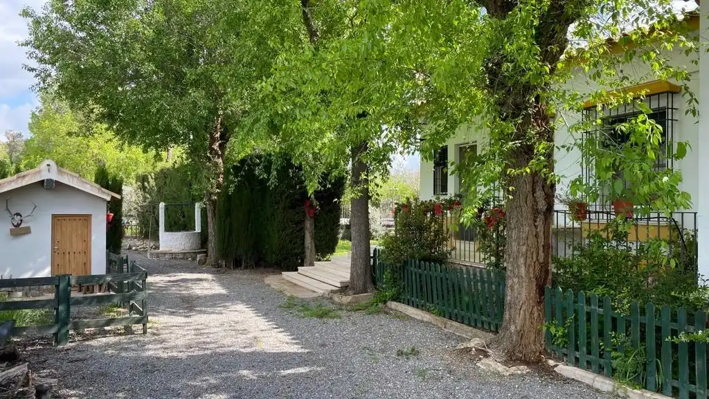 Vista exterior de Finca rústica en venta en Baena con Jardín privado, Terraza y Piscina