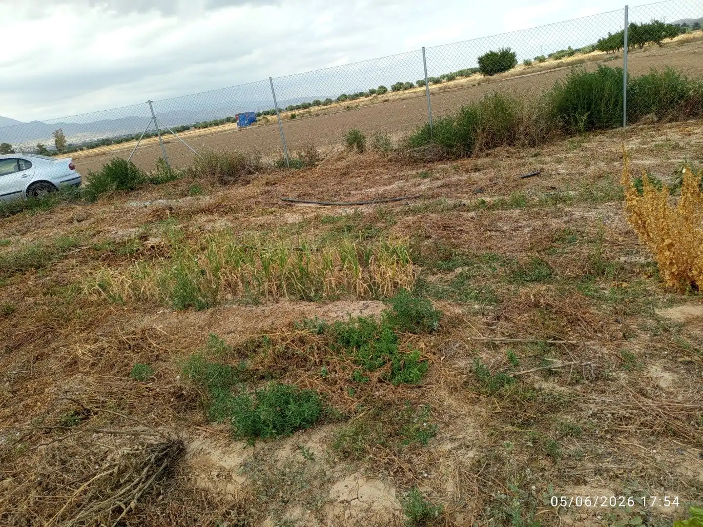 Terreno en venta en Lorca