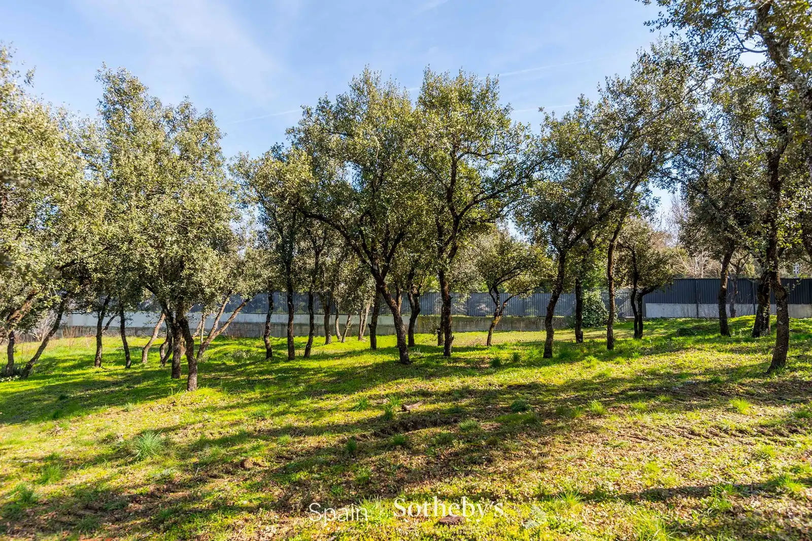 Terreno residencial en venta en Calle de Guecho, imagen 20
