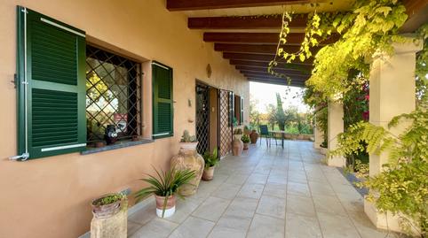 Photo 5 of Country house to rent in Llubí, Illes Balears