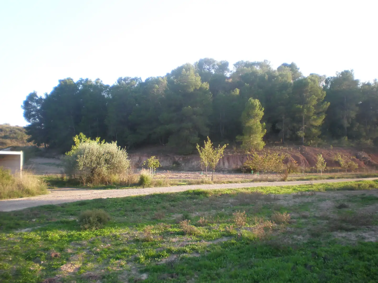 Terreno rustico in vendita a Pedanías Norte, imagen 5