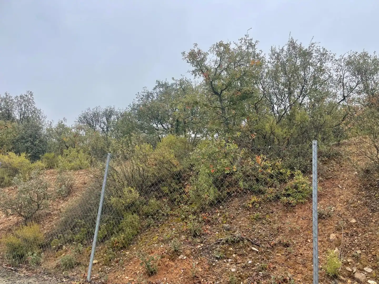 Residential for sale in Valdeaveruelo
