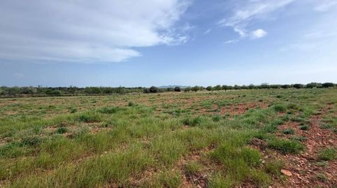 V15075 FINCA RUSTICA CON ANTIGUA EDIFICACIÓN, immagine 4