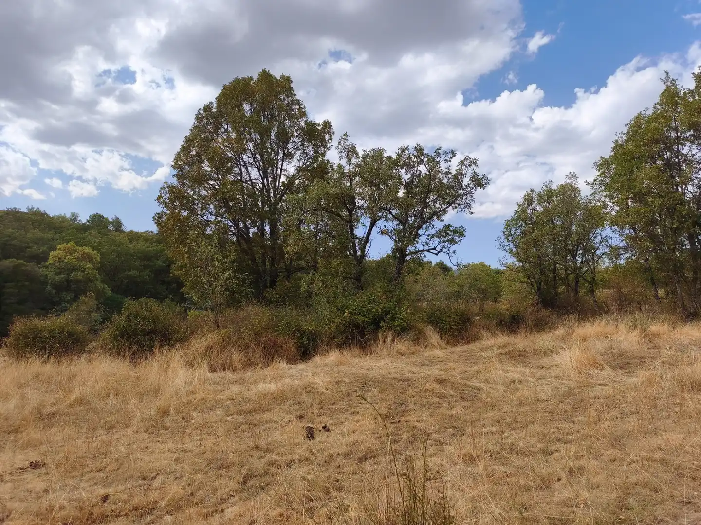 Terreno en venta en Piñuécar-Gandullas