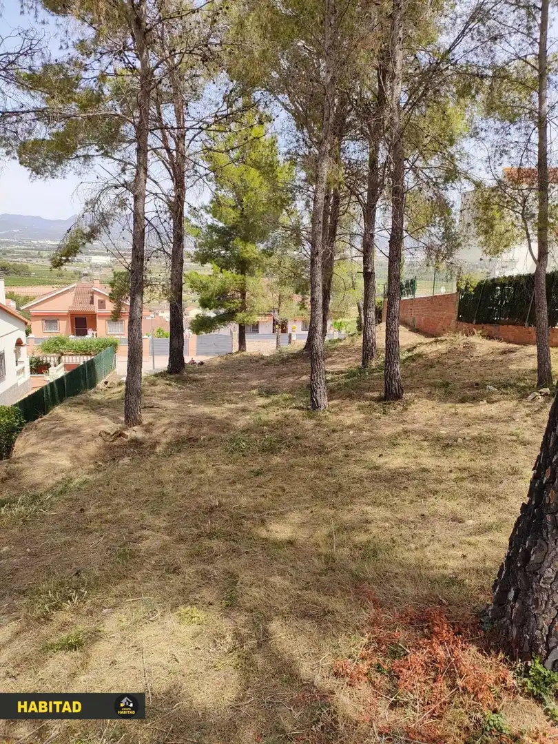 Terreno residencial en venta en Albinyana, imagen 2