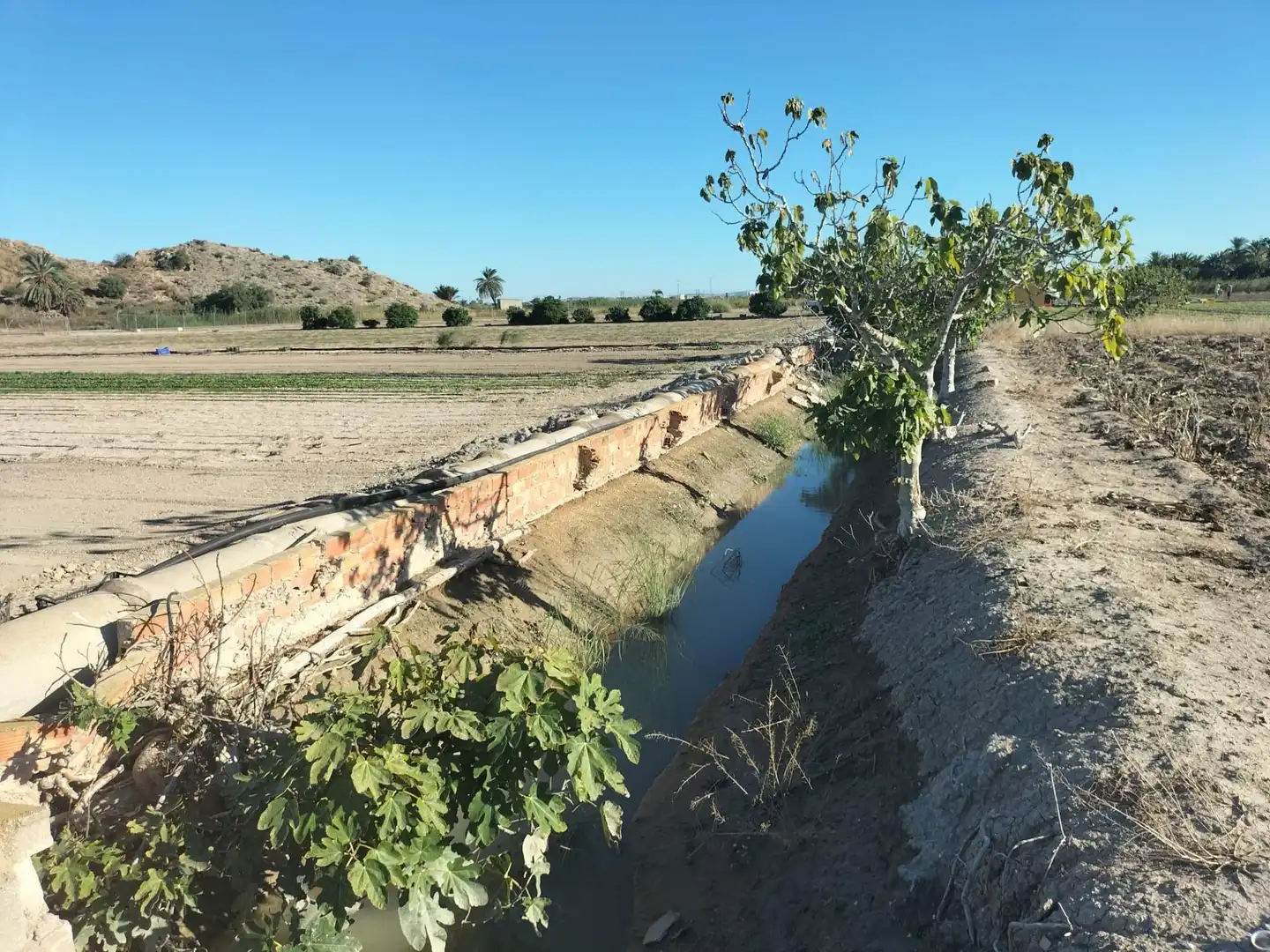 Casa rústica en venda a Granja de Rocamora, imagen 17
