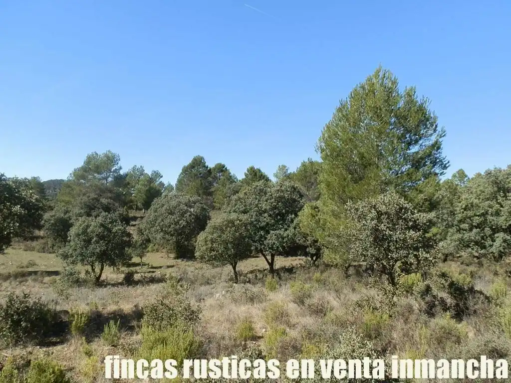 Land for sale in Valdeolivas