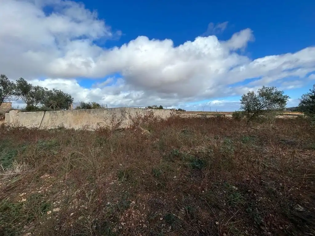 Rural land for sale in Sa Pobla, imagen 12