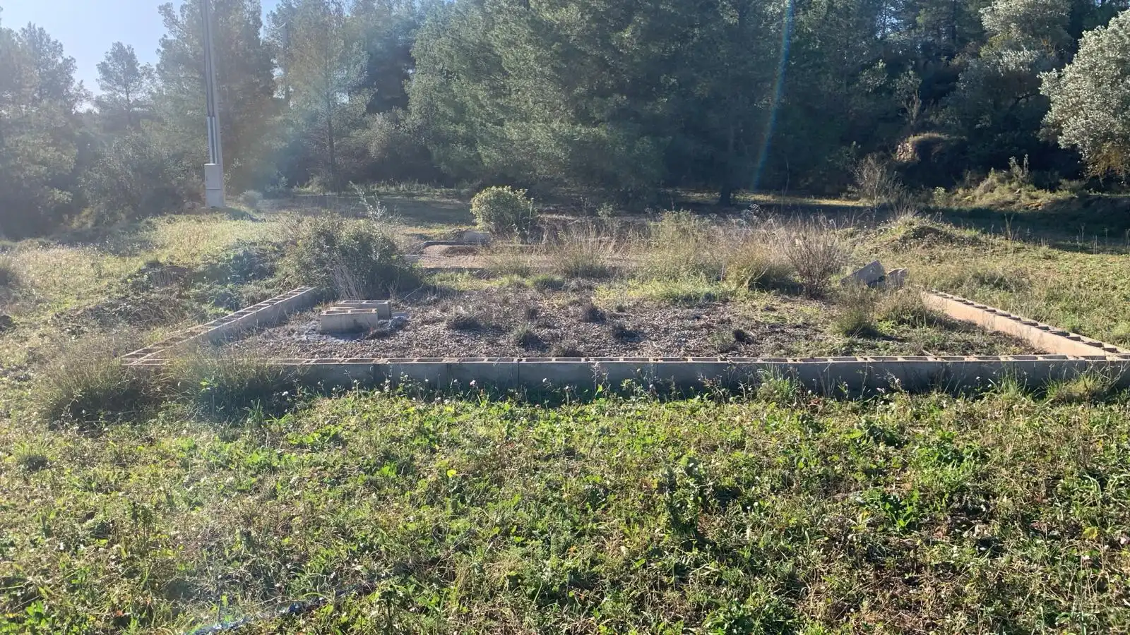 Terreno rustico in vendita a Ascó, imagen 7