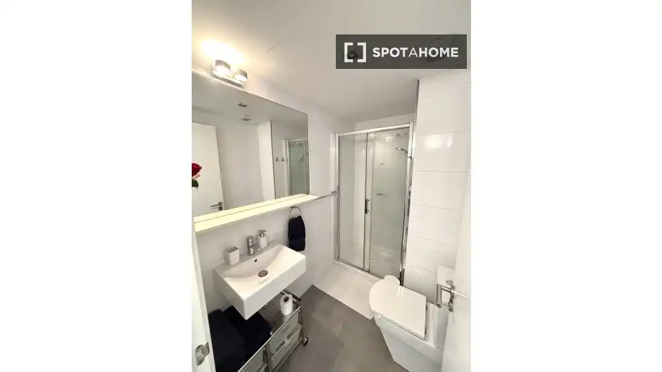 Badezimmer von Wohnungen zur untervermieten in  Palma de Mallorca mit Klimaanlage, Terrasse und Möbliert