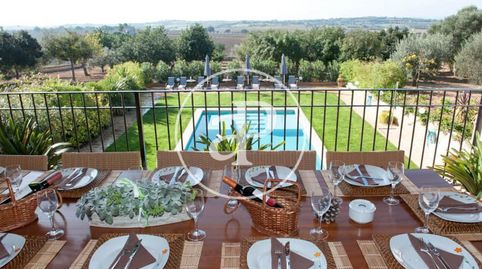 Villa mallorquina de lujo en alquiler en Manacor, image 5
