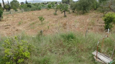 Photo 4 of Country homes for sale in Santa María del Camí, Illes Balears