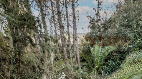 Foto 5 de Finca rústica en venta en Camino de Sant Antoni, Alforja, Tarragona