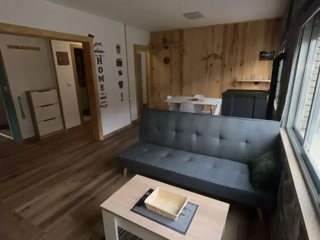 Living room of Flat for rent in Degaña  with Parquet flooring and Furnished