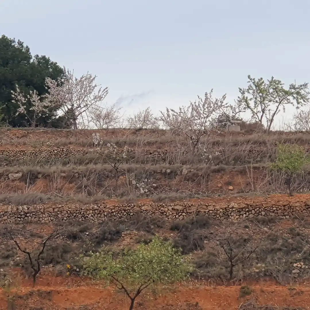 Rustikales Grundstück zum Verkauf in El Pinell de Brai, imagen 22