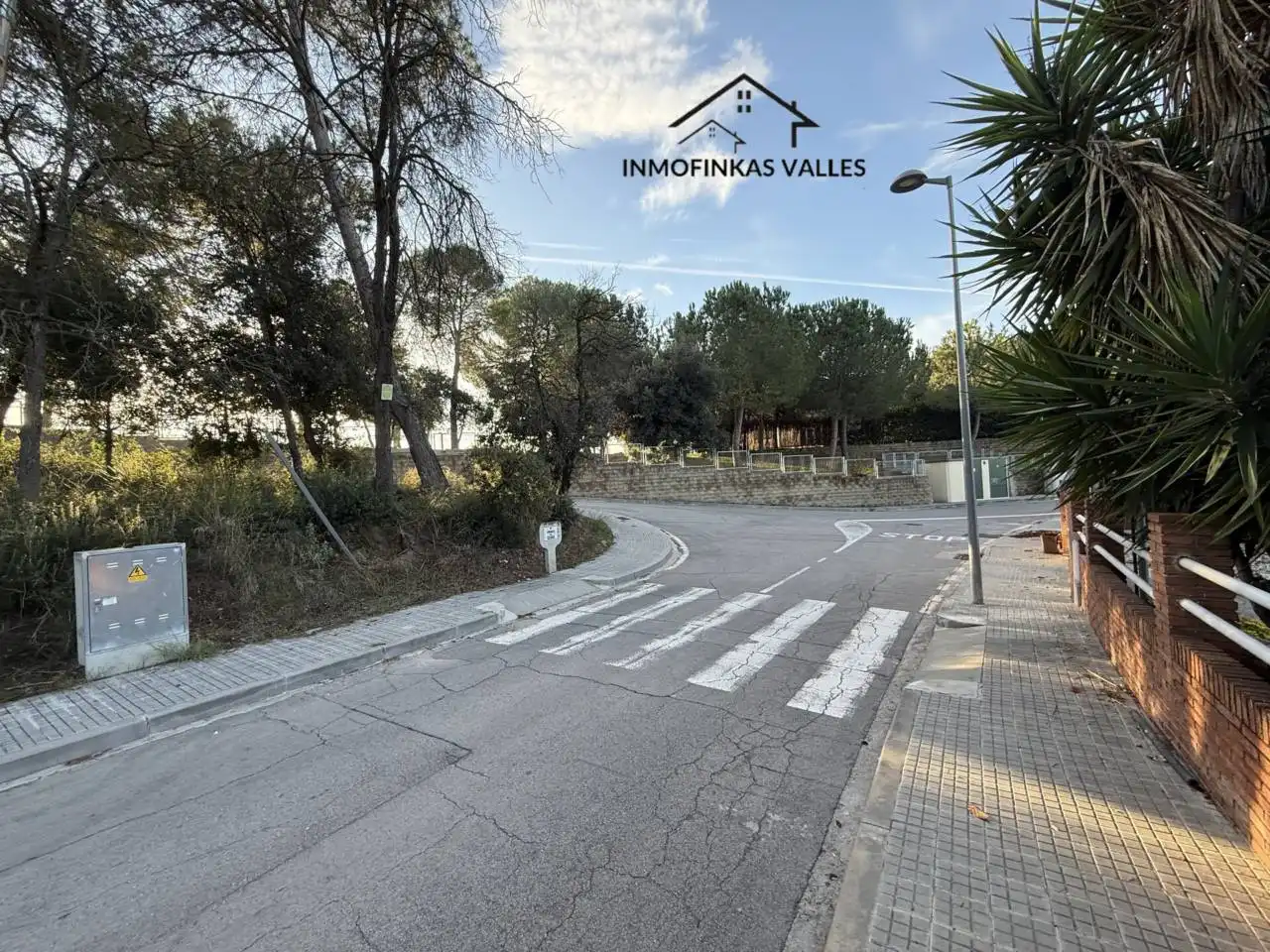 Terreno rústico en venta en Calle Cedro 4, imagen 12
