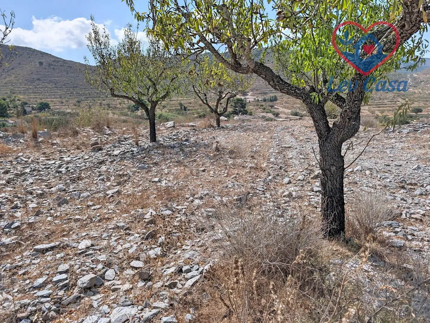 Terreno rustico in vendita a Playa del Galán, imagen 12