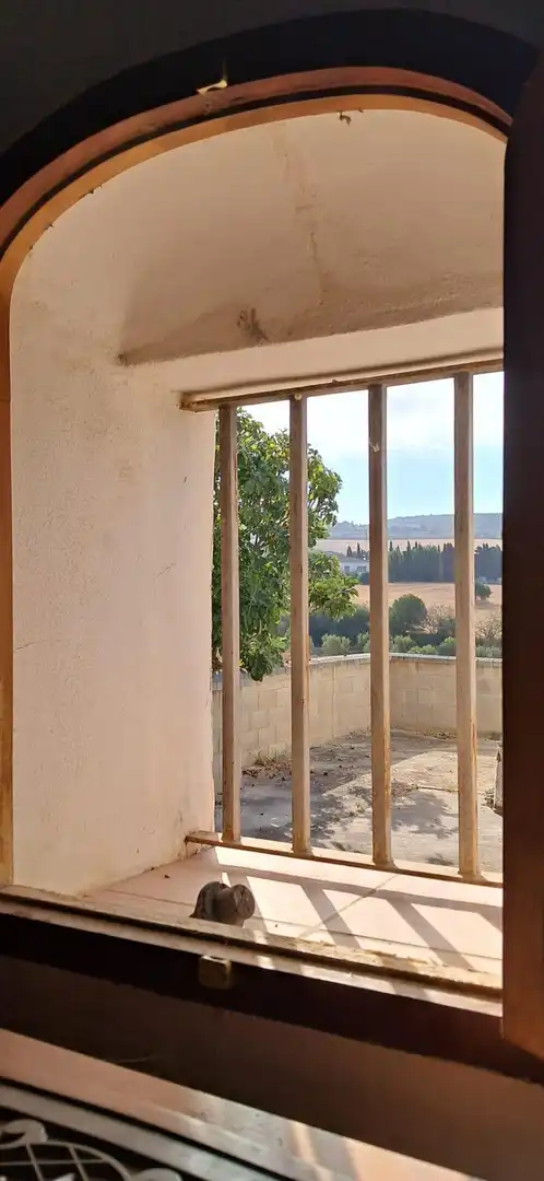 Casa rústica en venda a Arcos de la Frontera, imagen 46