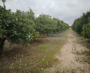 Grundstücke zum verkauf in Rafelcofer