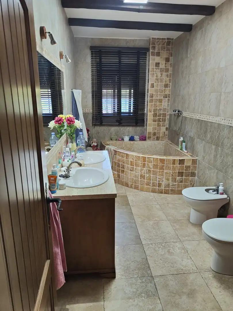 Chalet con piscina en venta en Partidas de Alicante, imagen 22