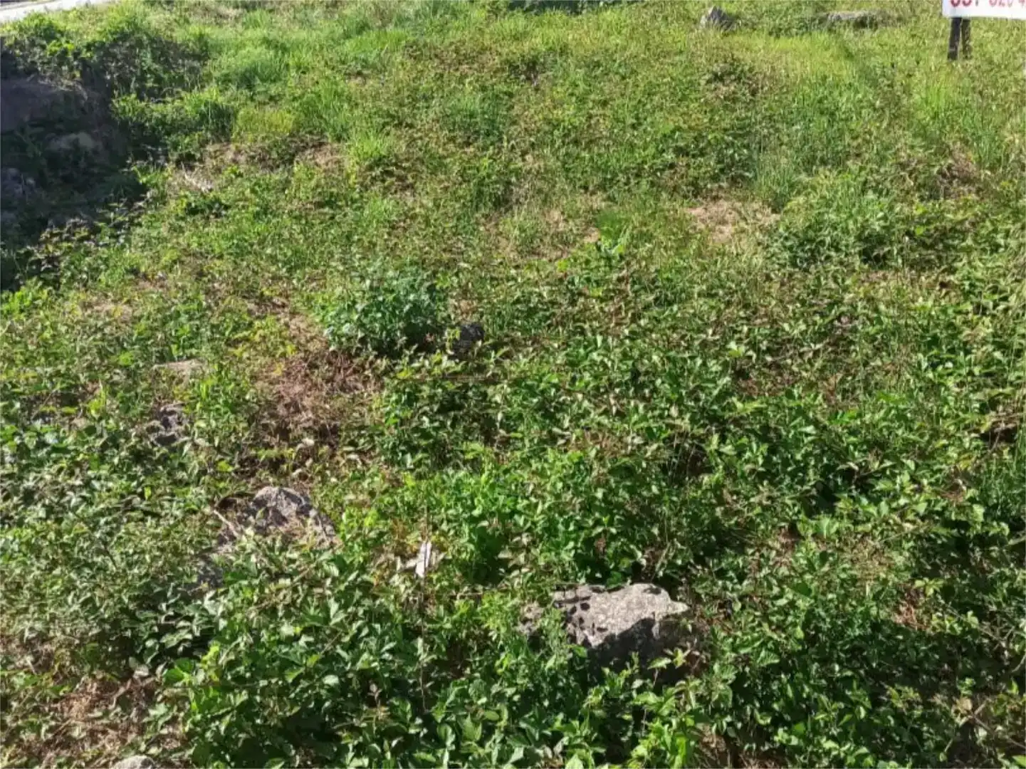Terreno en venta en Ramirás