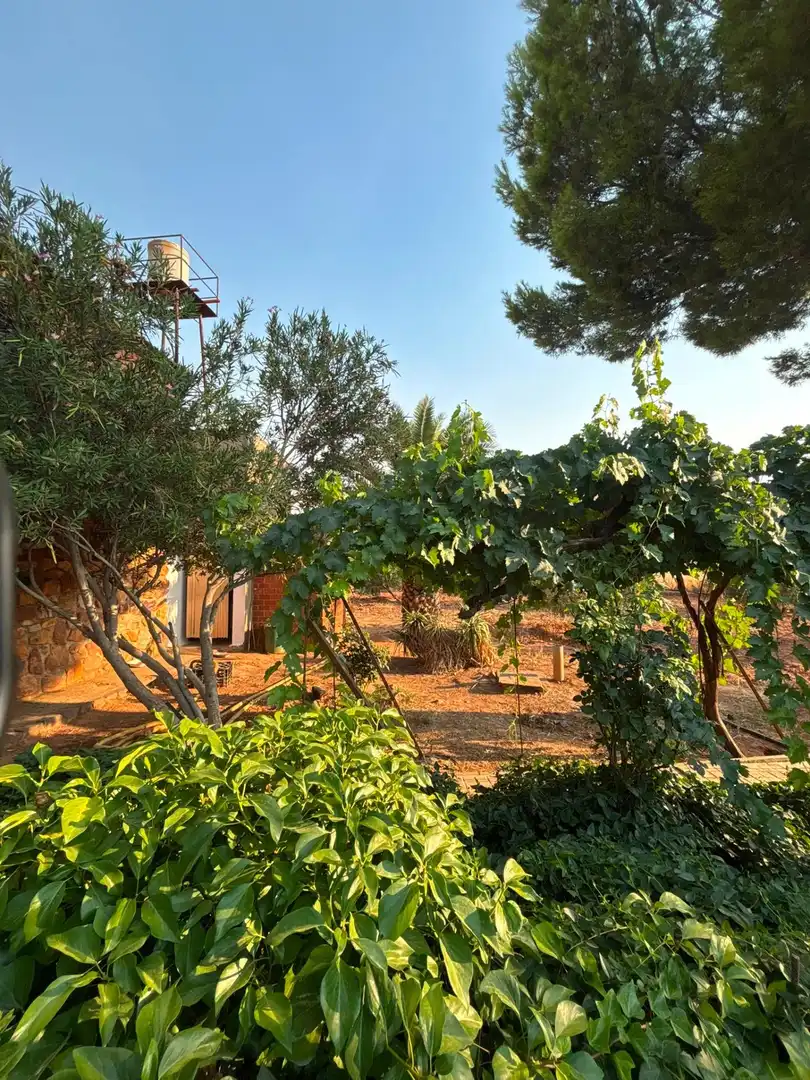 Jardí de Casa o xalet en venda en Valdepeñas
