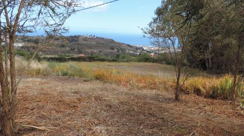 Photo 4 of Land for sale in Lugar Los Altabacales, 50, Los Castillos, Las Palmas