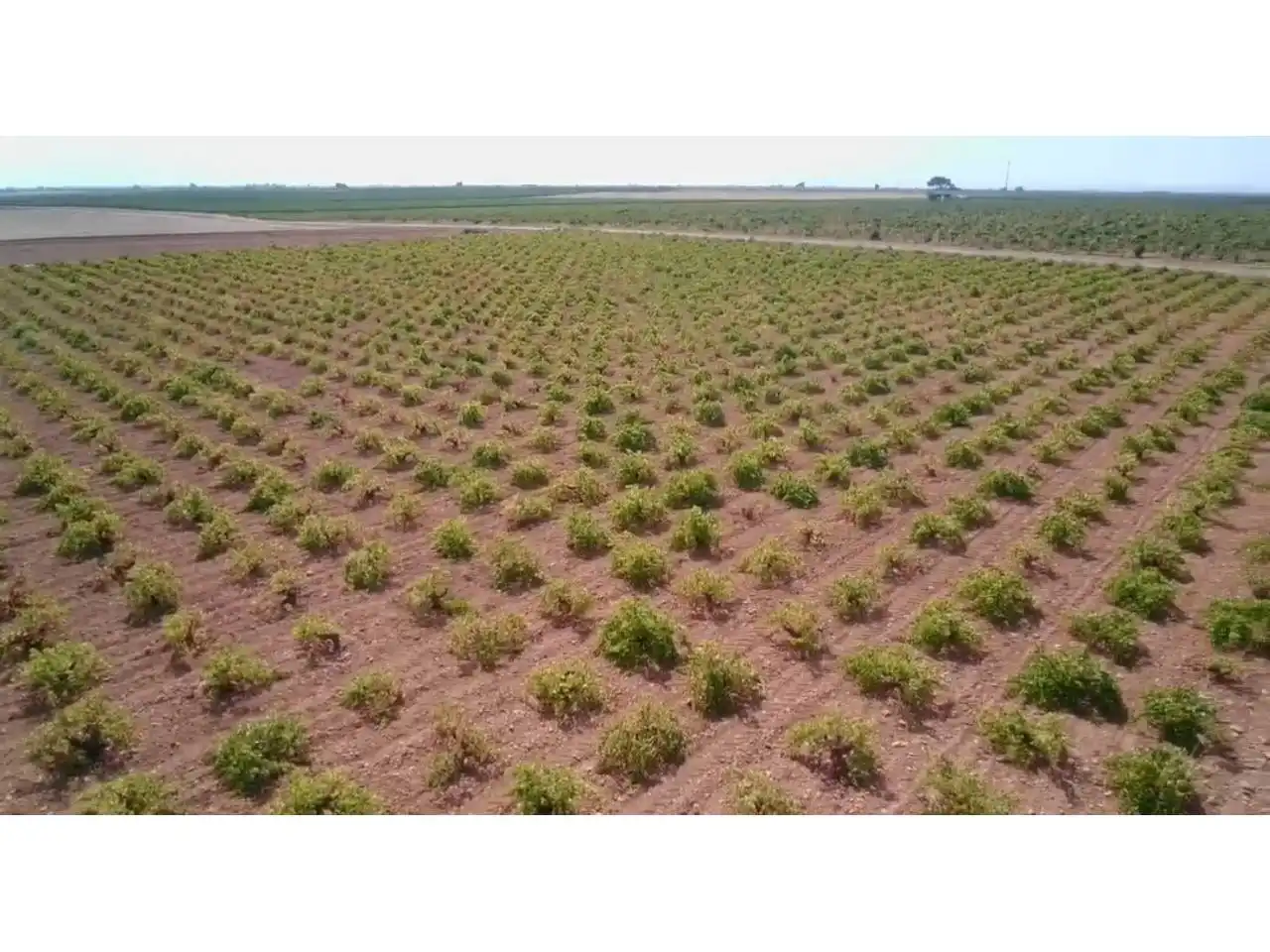 Rural land for sale in Manzanares, imagen 4