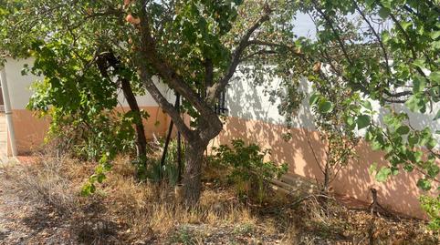 Foto 4 de Casa o xalet en venda a Camino de la Mata, Argamasilla de Calatrava, Ciudad Real