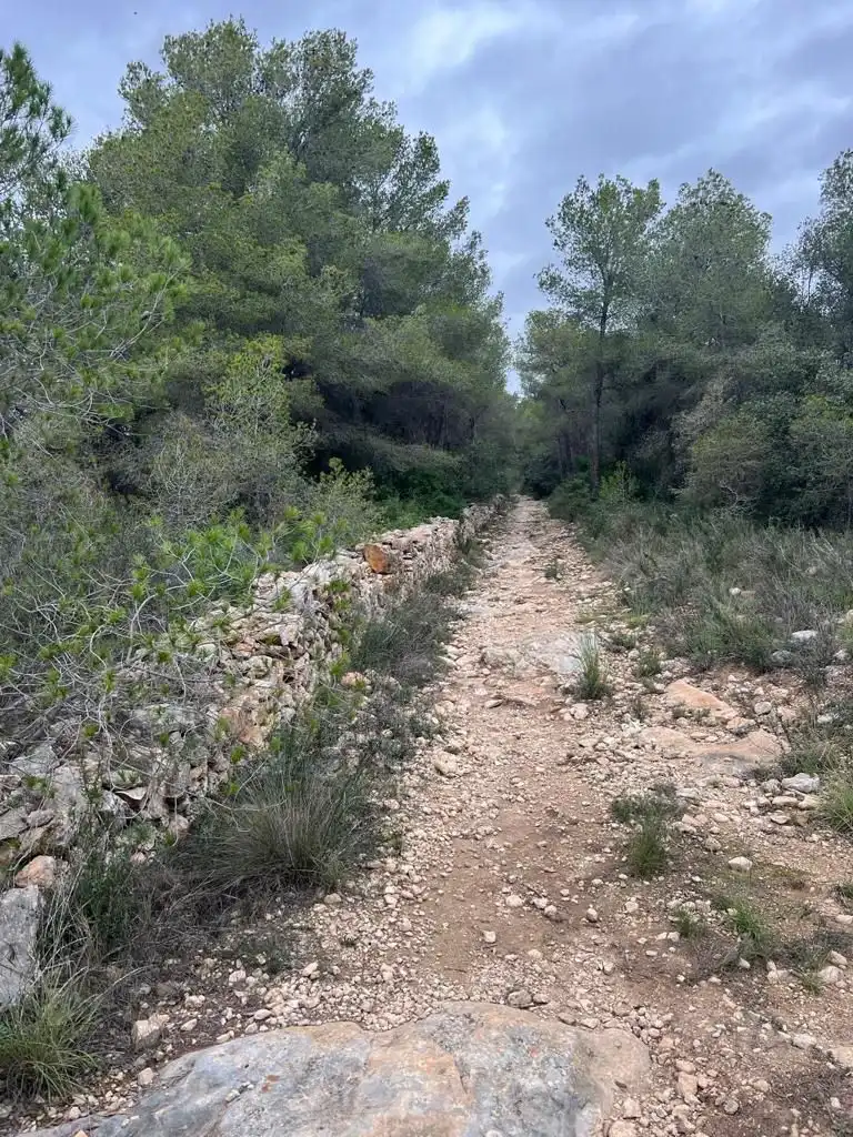 Terreno rustico in vendita a La Pobla de Montornès