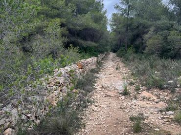 Rural land for sale in La Pobla de Montornès