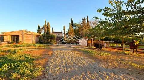 Exclusiva Finca en Sencelles, imagen 3