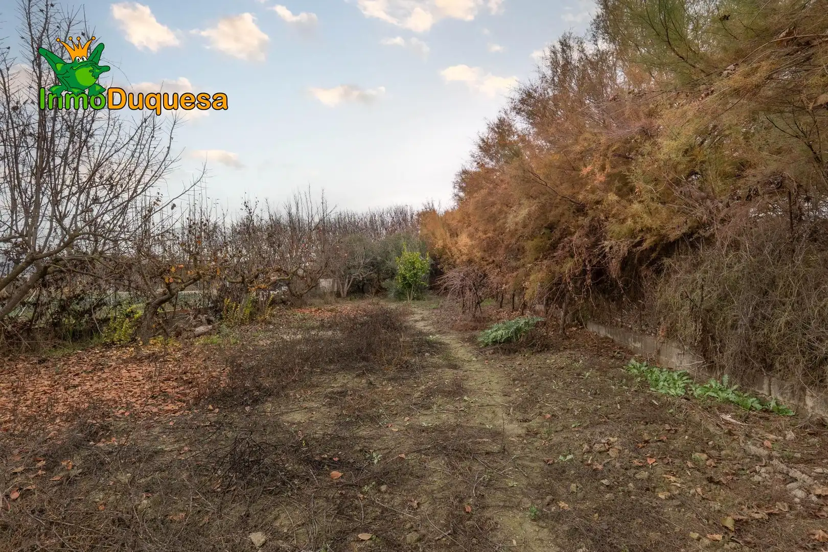 Country homes for sale in Chauchina