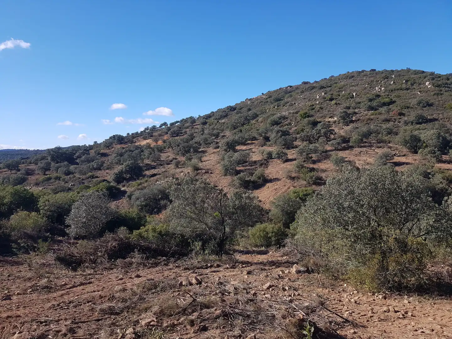 Residential for sale in El Ronquillo