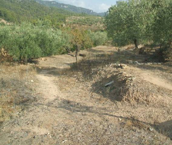 Terreno en Venta en - en Tivissa