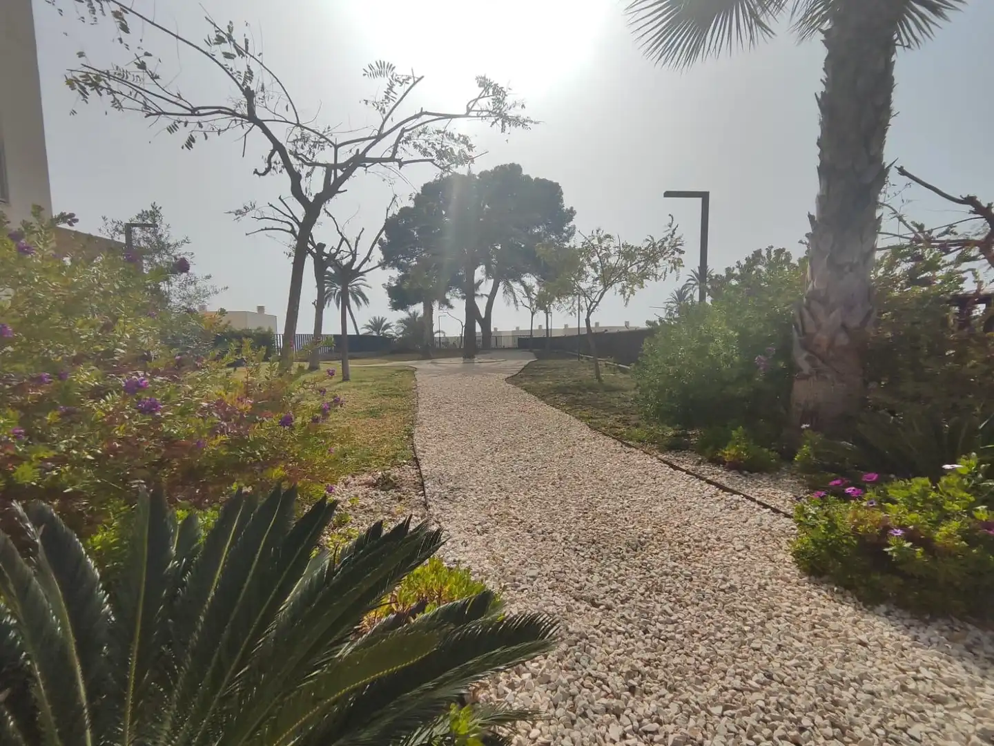 Houses for sale in Partida paraiso, Poble Nou - Montiboli