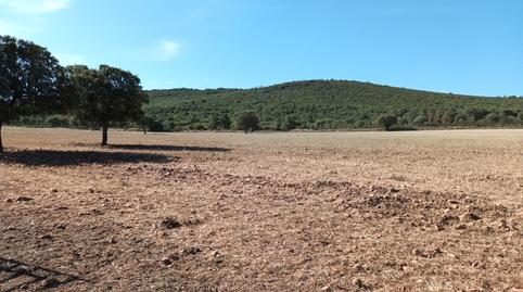 Foto 3 de Terreno en venta en Fernán Caballero, Ciudad Real