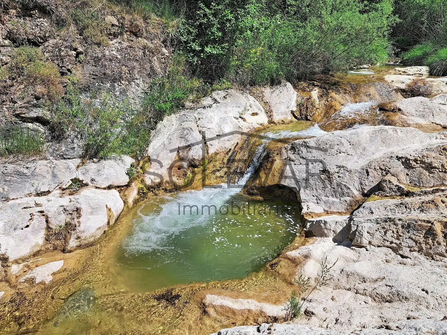 Piscina de Casa o chalet en venta en Abella de la Conca
