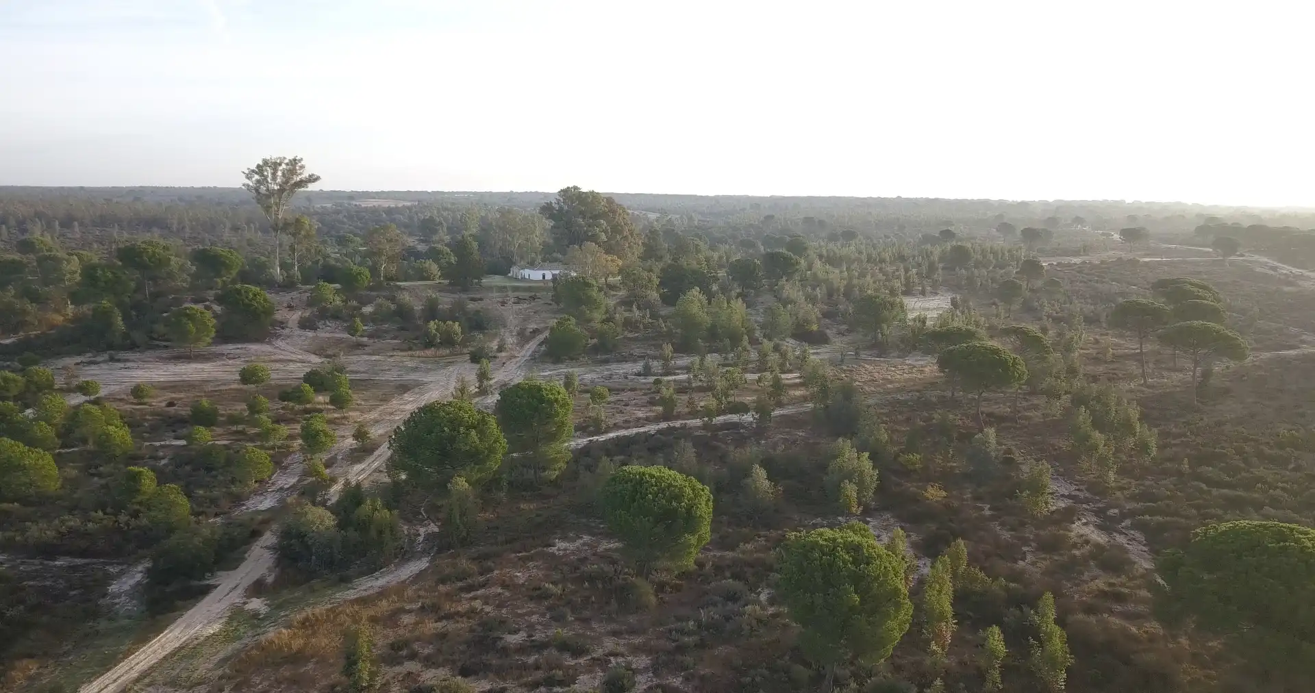 Finca rústica en venda en Almonte