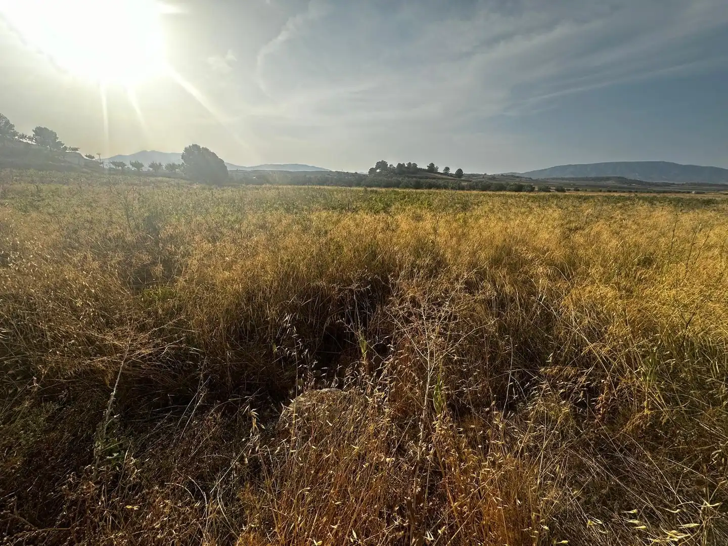 Residential land for sale in El Pinós / Pinoso, imagen 11