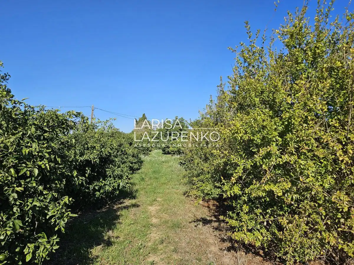 Finca rústica en venda en Vinyols i els Arcs
