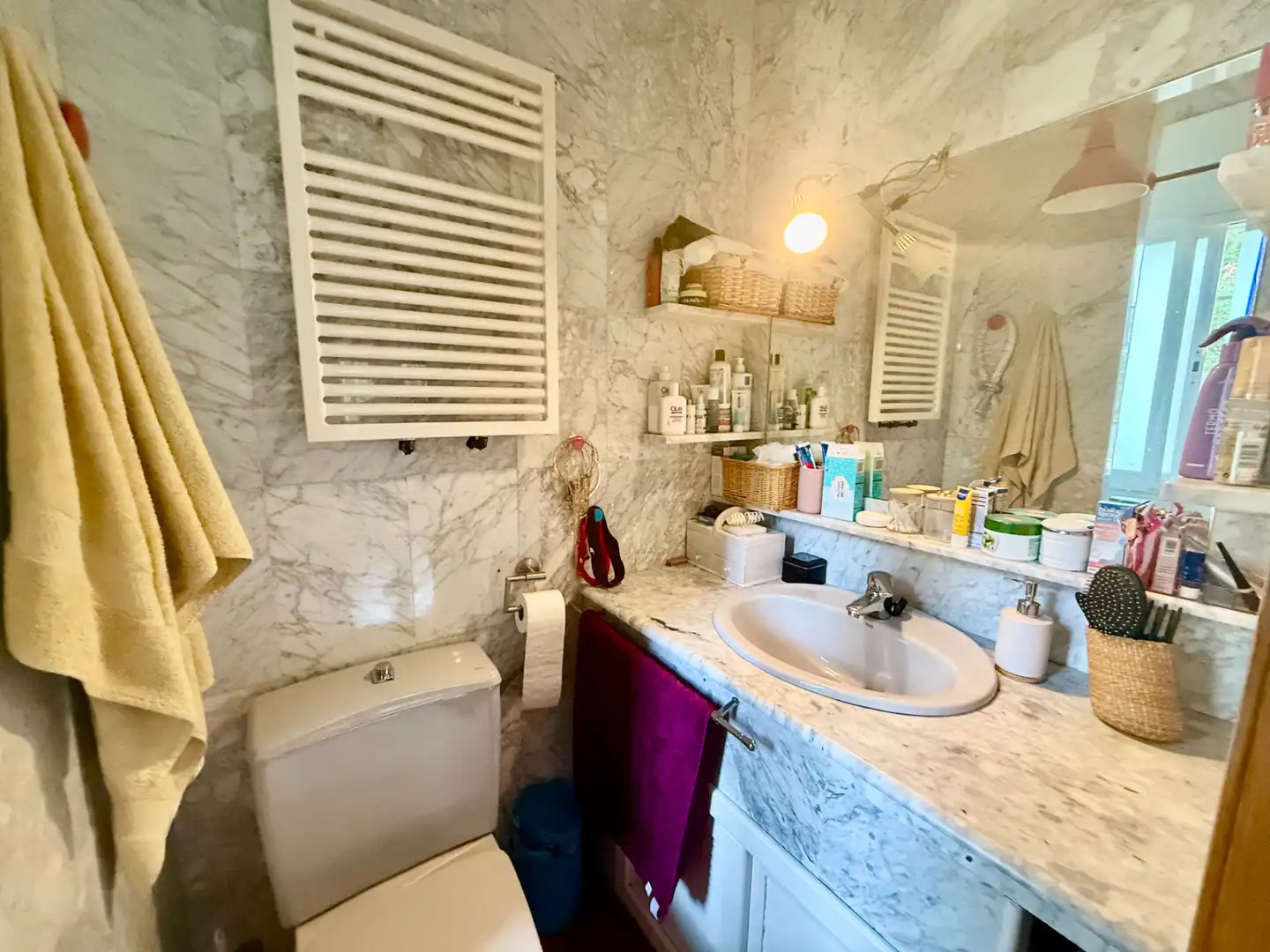 Baño de Casa o chalet en venta en Poblete con Aire acondicionado, Jardín privado y Piscina