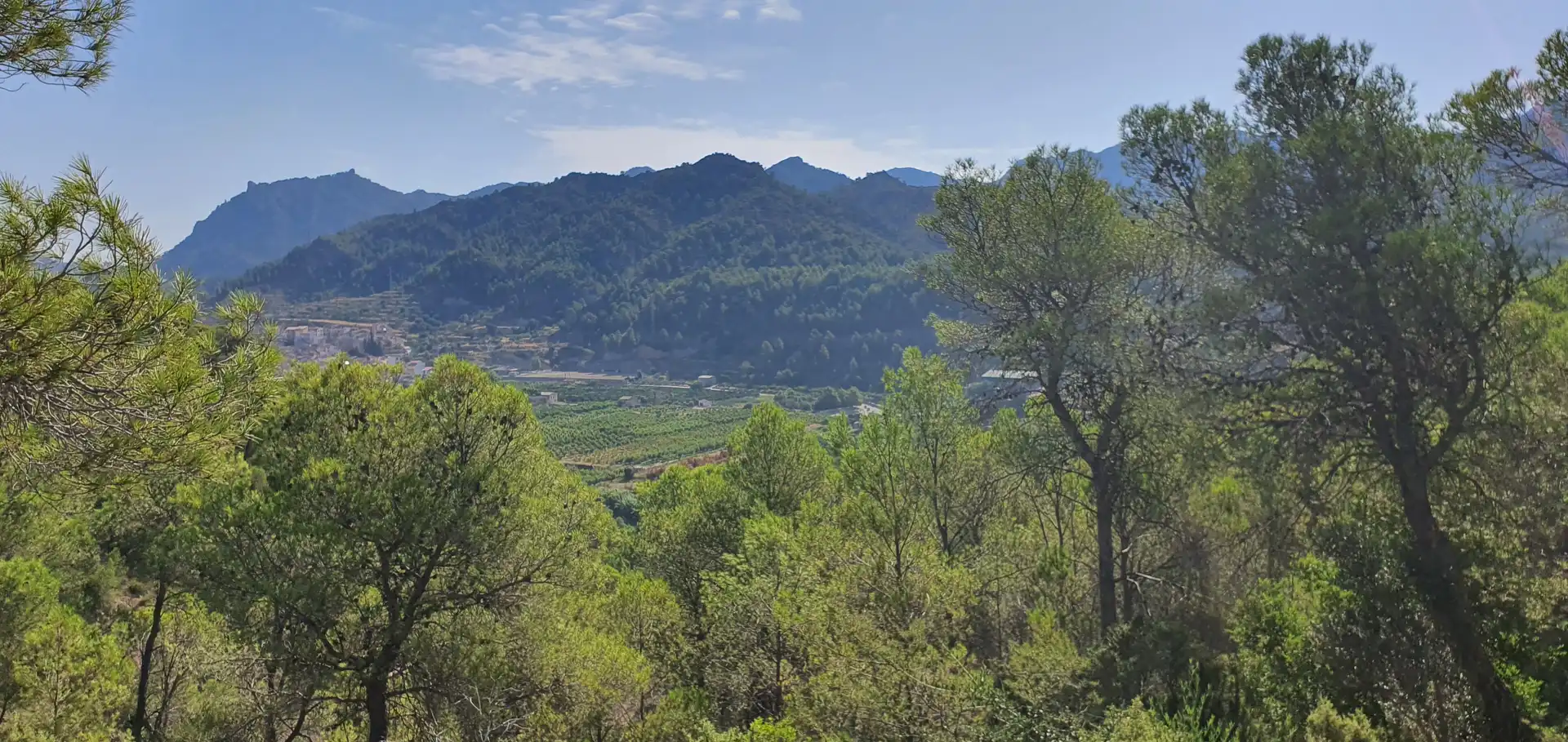 Casa o chalet en venta en Benifallet