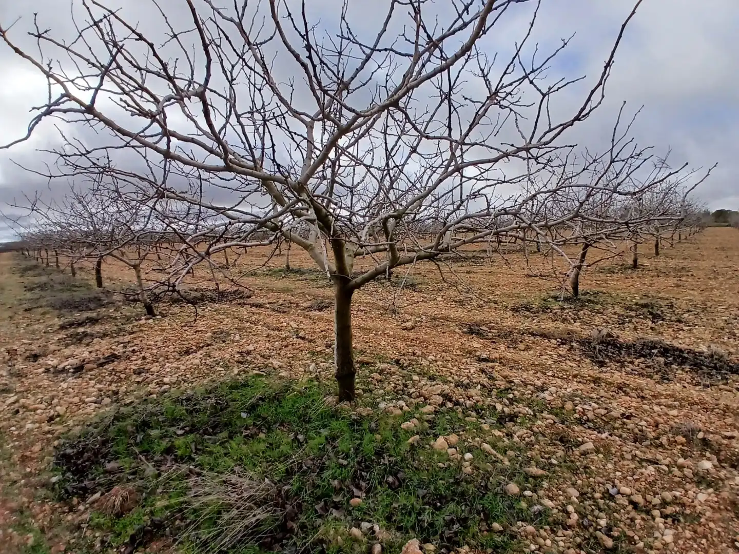 Rural land for sale in Carretera Solana, imagen 8