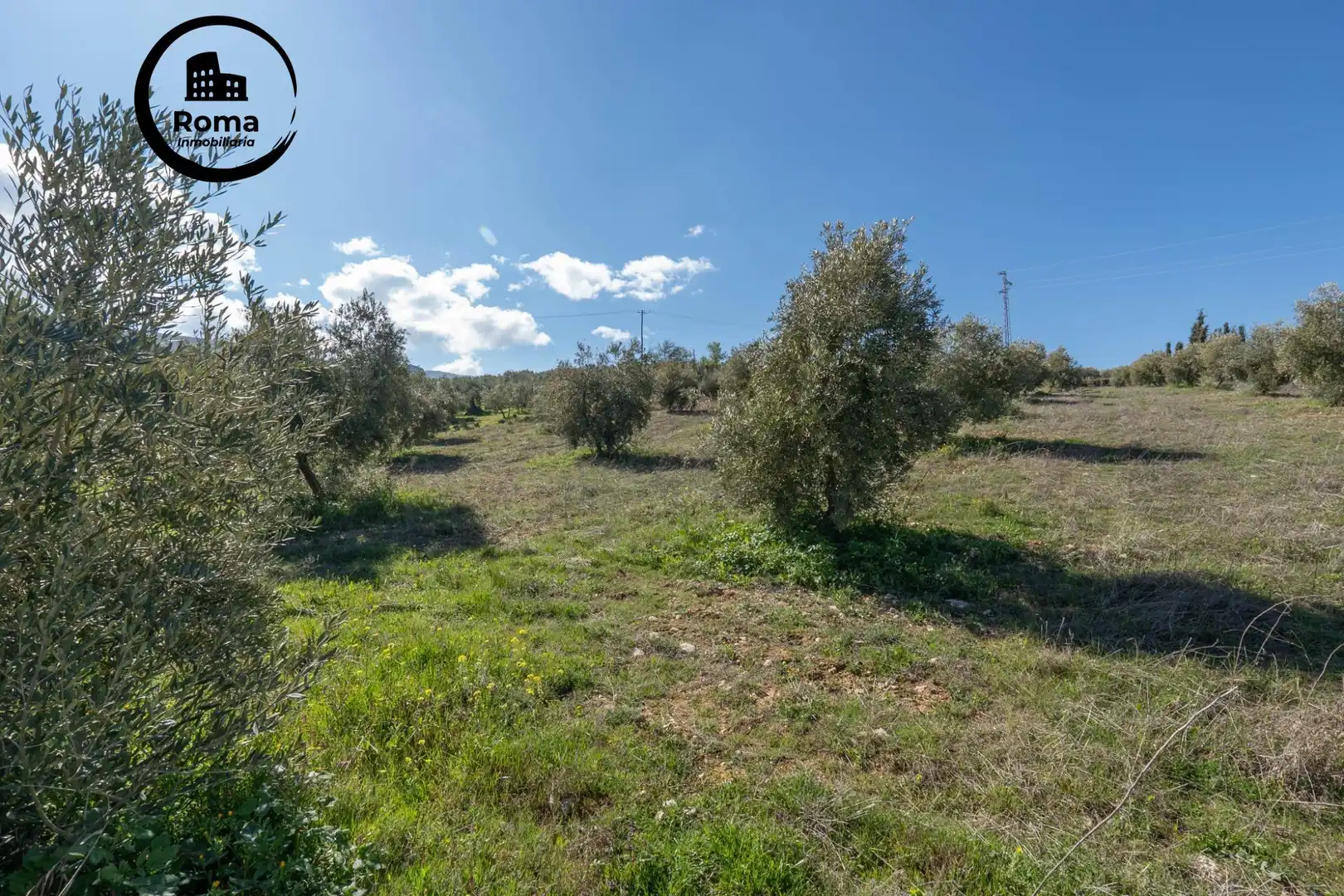 Terreni e lotti in vendita a Cogollos de la Vega, imagen 17