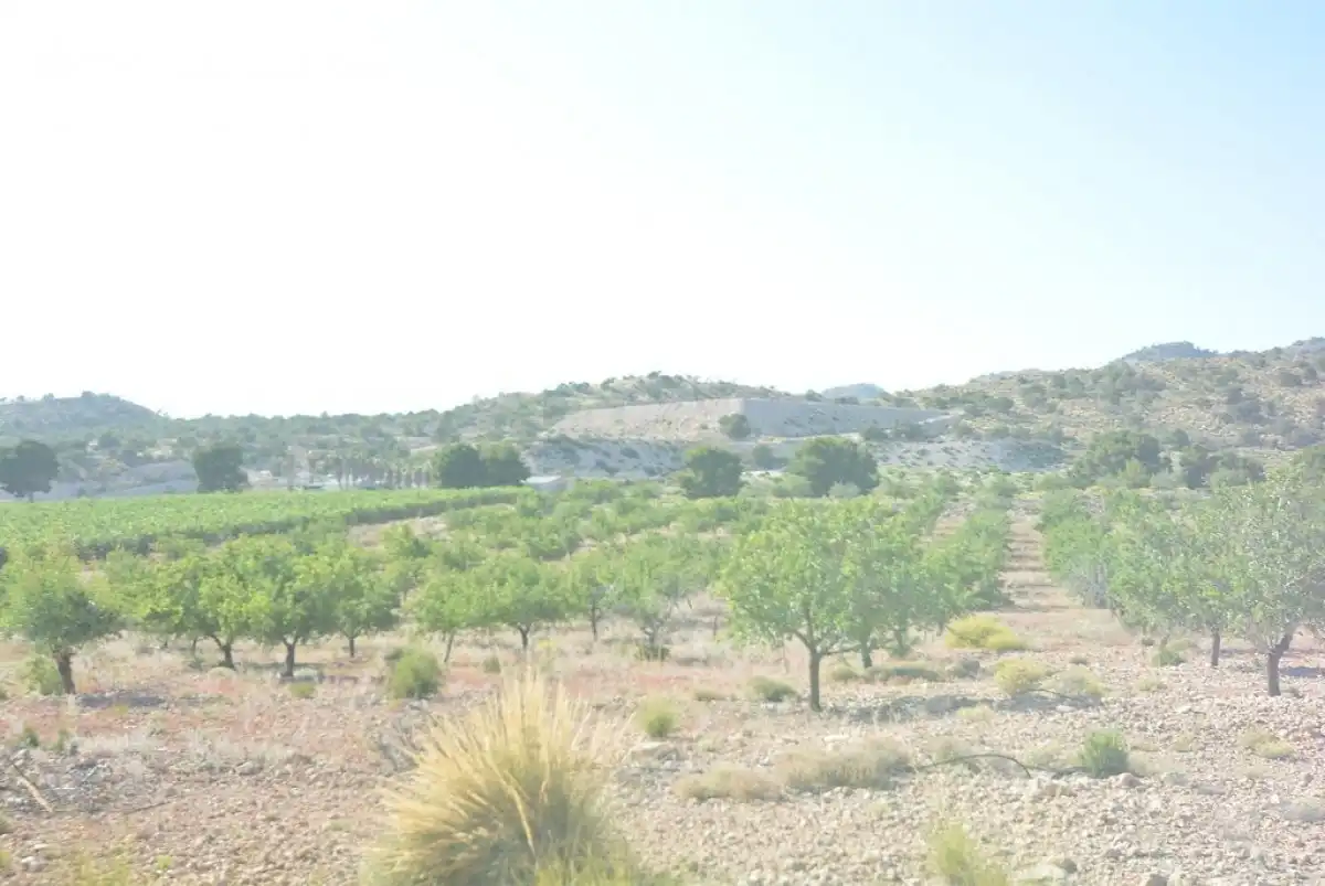 Terreni e lotti in vendita a Campo de Murcia, imagen 20