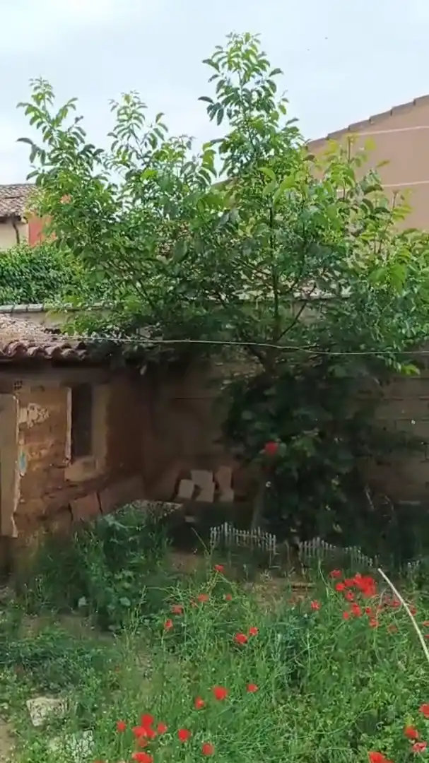 Jardí de Finca rústica en venda en Melgar de Fernamental amb Jardí privat i Moblat