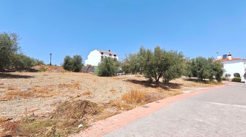 IMF GESTIÓN DE INMUEBLES vende parcelas urbanas en Viñuela, imatge 4