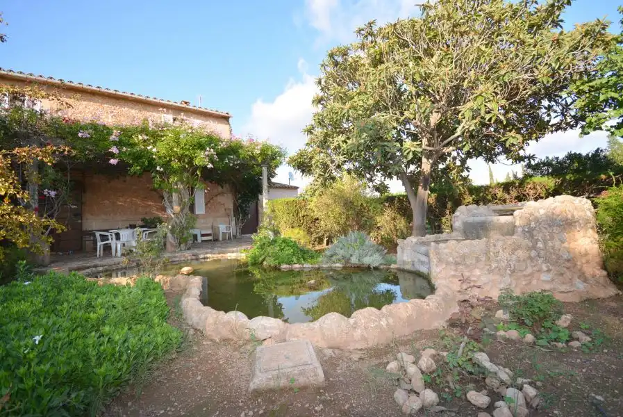 Jardí de Finca rústica en venda en Marratxí amb Aire condicionat, Calefacció i Jardí privat