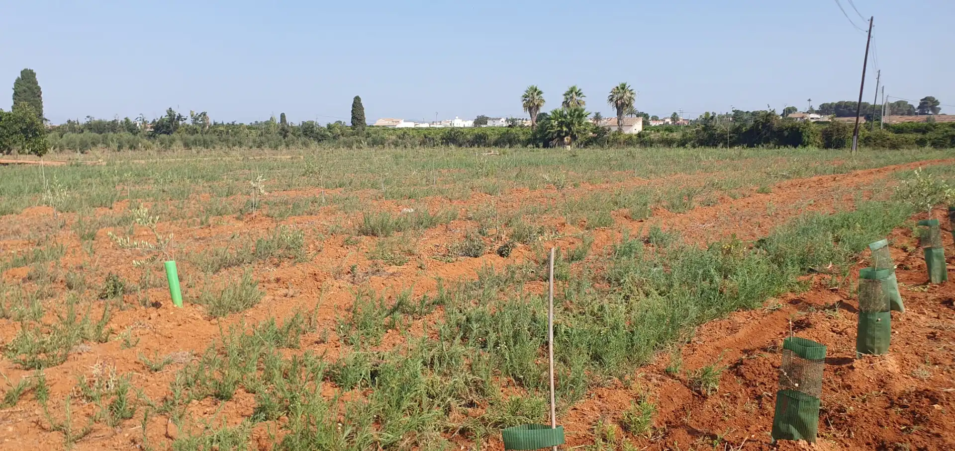 Country house for sale in Camí de les Basses, imagen 6
